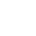 The image shows a stylized, symmetrical floral design with four petals and a circular center.