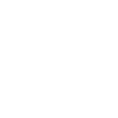 The image shows a stylized, symmetrical floral design with four petals and a circular center.