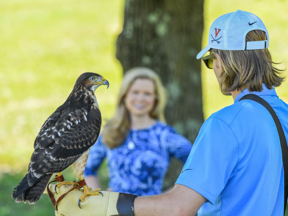 A falconer wearing a blue shirt and glove holds a perched hawk, while a smiling woman watches in a sunny park.